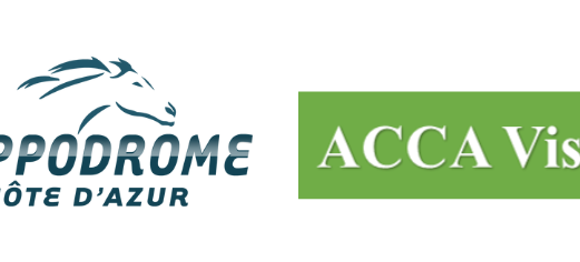 {{ sponsor.name }}