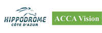{{ sponsor.name }}